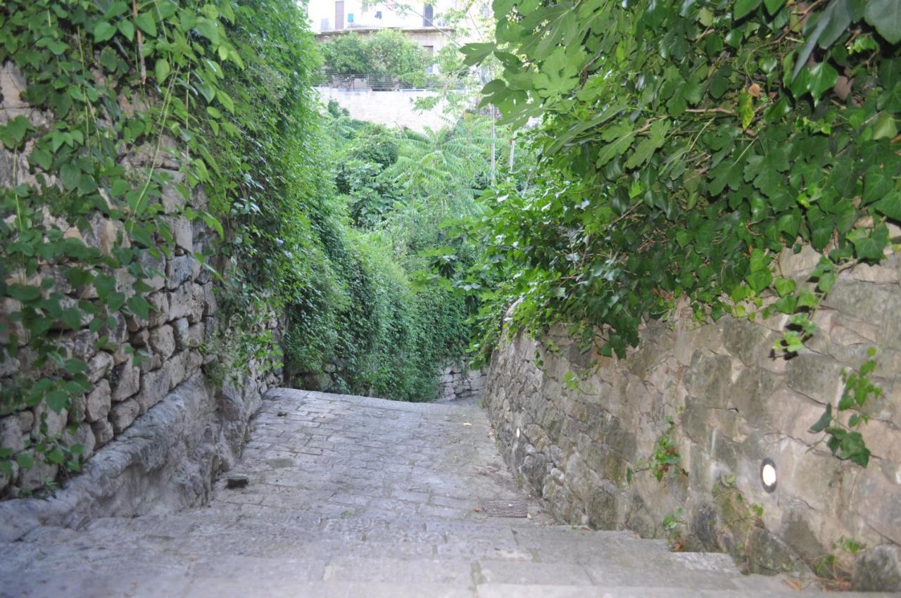 Udammusu34 Ragusa